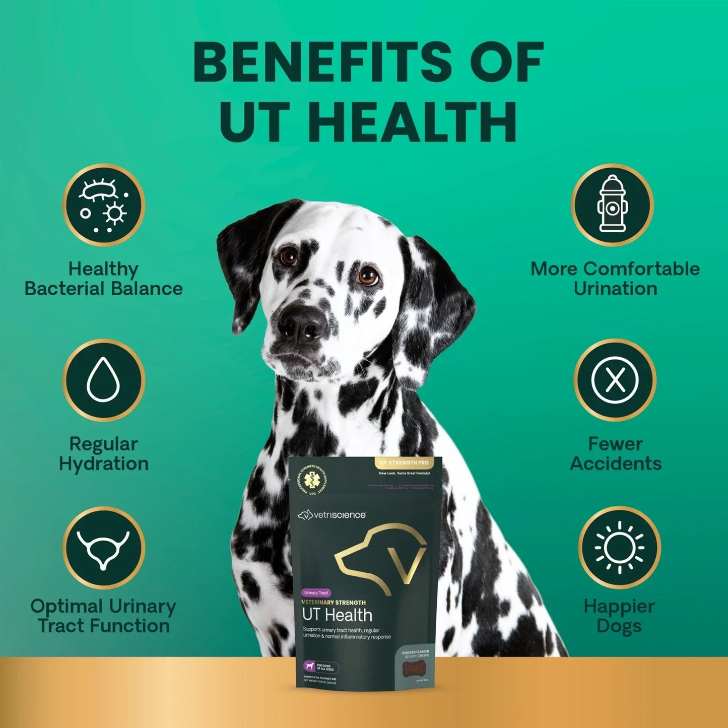 VetriScience | UT Strength Pro Canine Supplement Chews | Vetopia