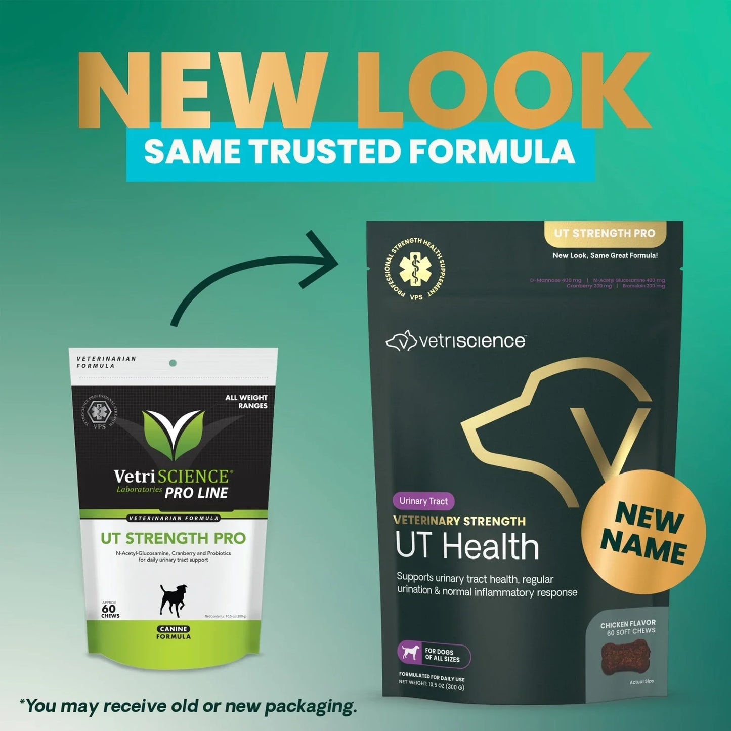 VetriScience | UT Strength Pro Canine Supplement Chews | Vetopia