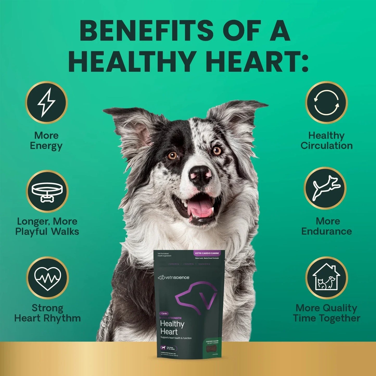 VetriScience - Vetri Cardio Canine Bite-Sized Chews (Heart Supplement for Dogs) 60 Chews