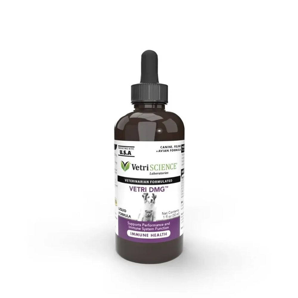 VetriScience - Vetri DMG Liquid (Immune System Supplements) 30ml