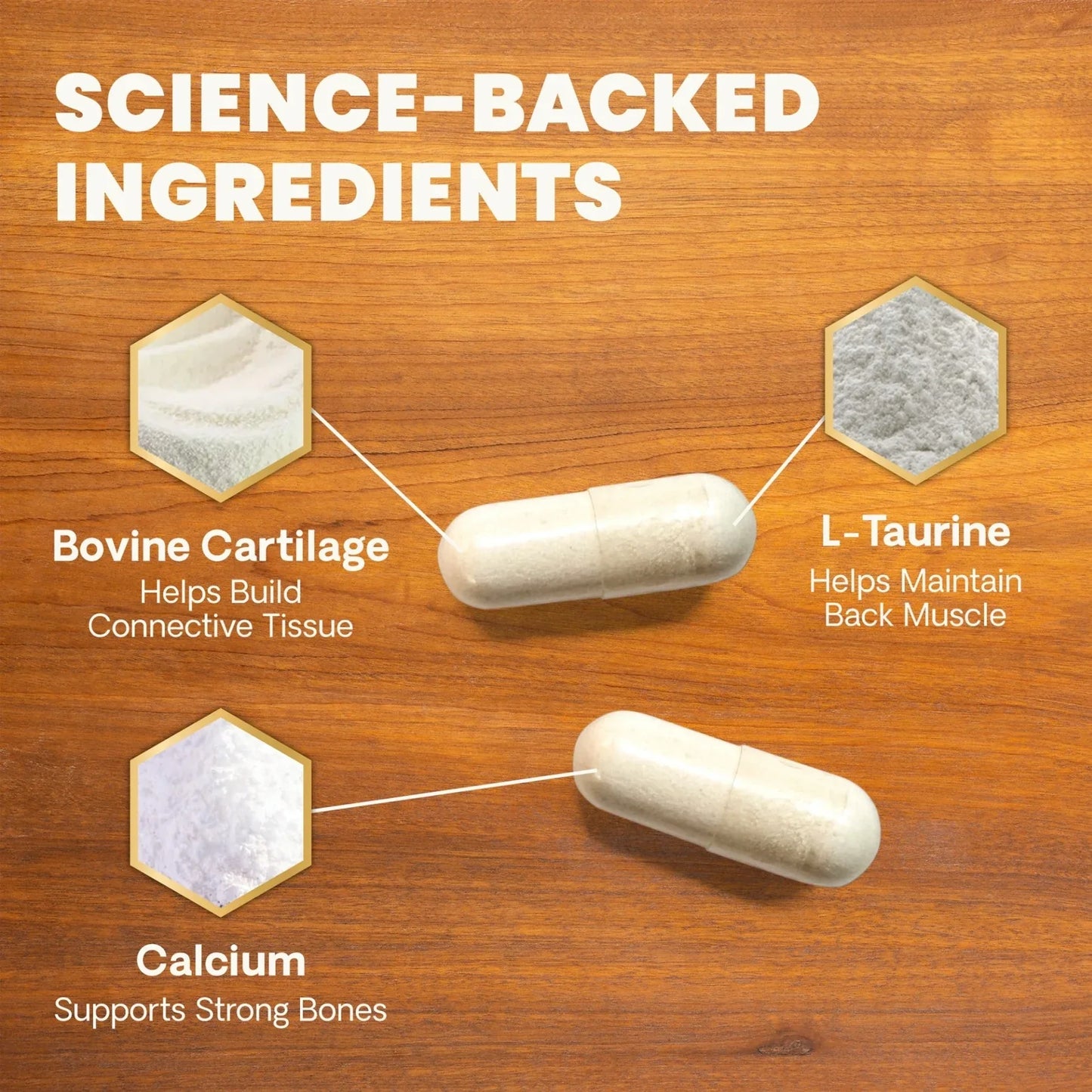 VetriScience | Vetri Disc Spine Supplement for Dogs | Vetopia