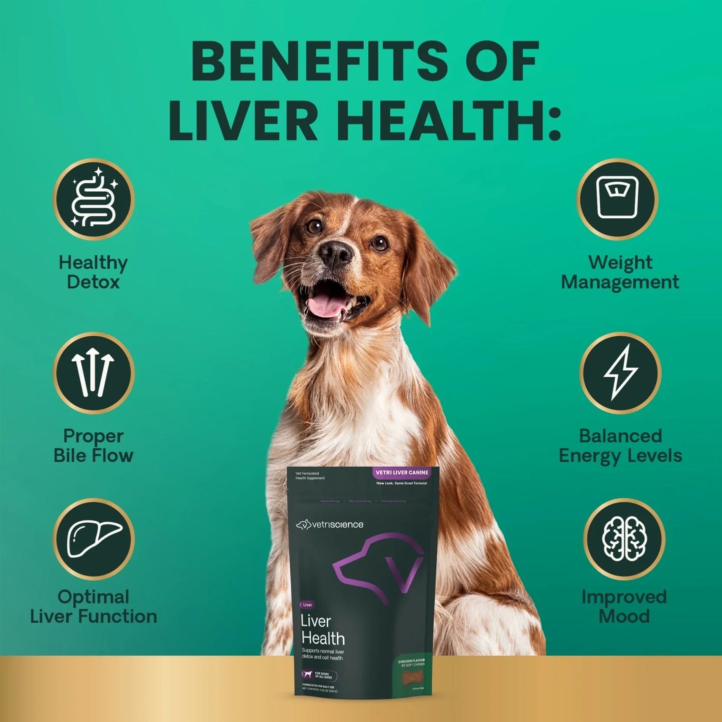 VetriScience - Vetri Liver Canine Bite-Sized Chews (Liver Supplements for Dogs) 60 Chews