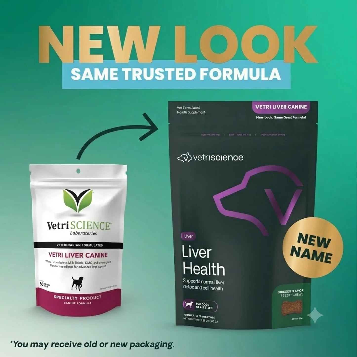 VetriScience - Vetri Liver Canine Bite-Sized Chews (Liver Supplements for Dogs) 60 Chews