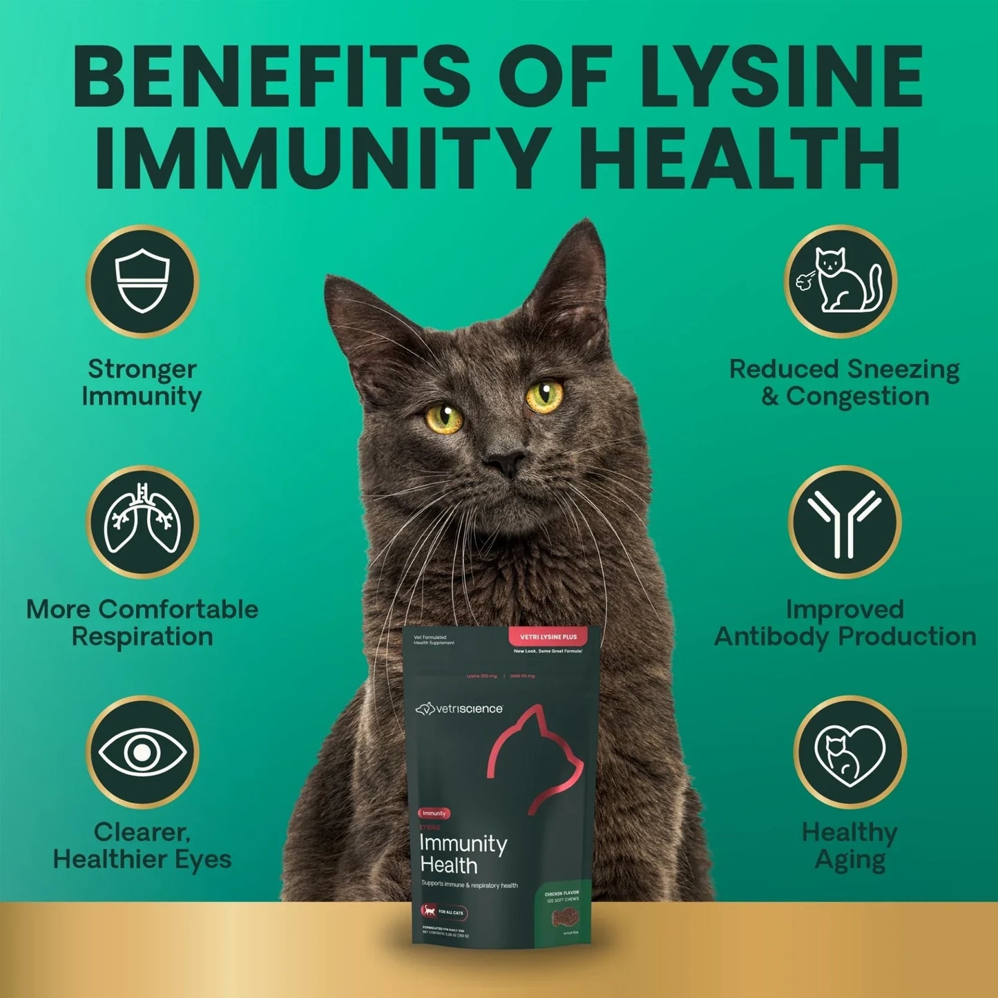 VetriScience | Vetri Lysine Plus Bite-Sized Chews for Cats | Vetopia