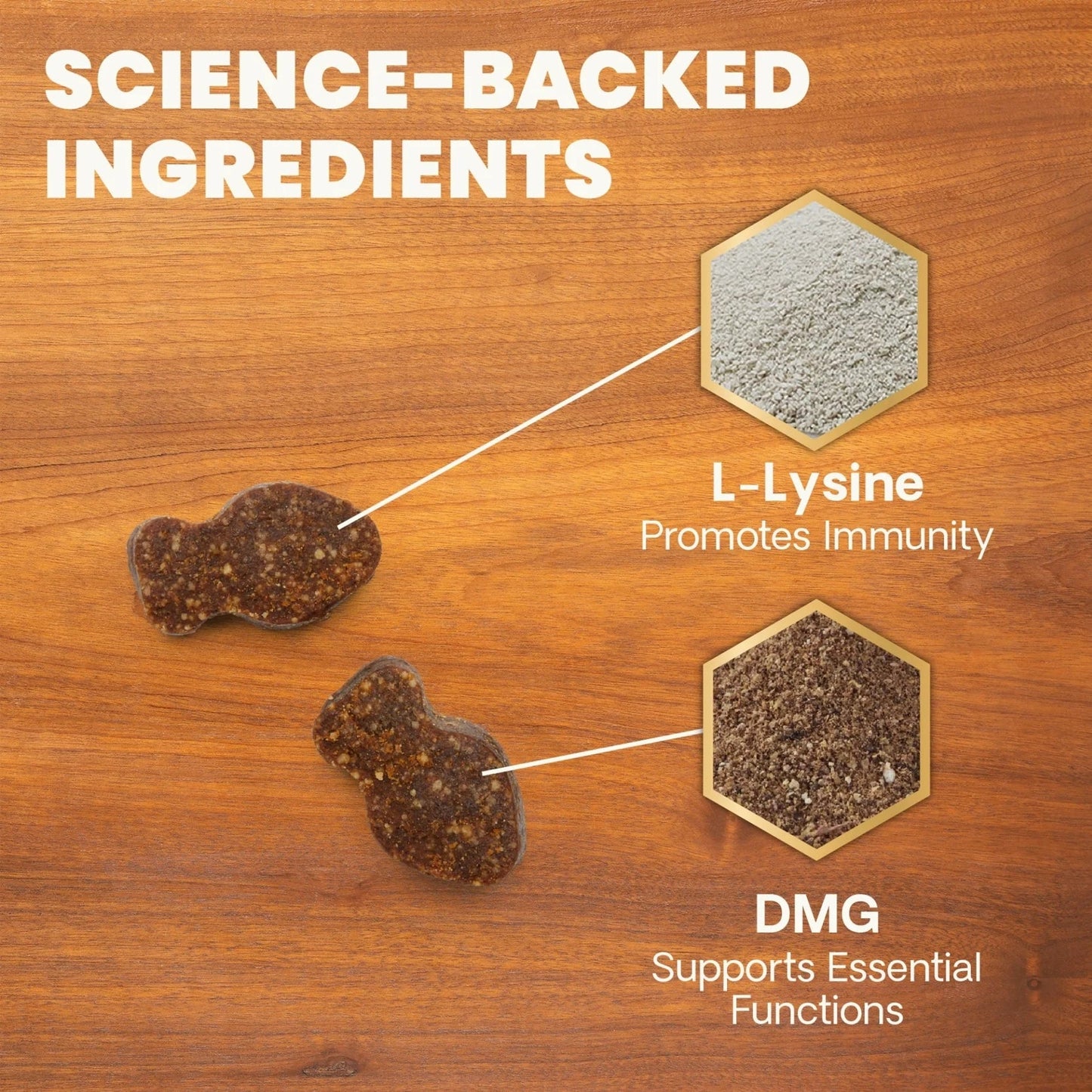 VetriScience | Vetri Lysine Plus Bite-Sized Chews for Cats | Vetopia