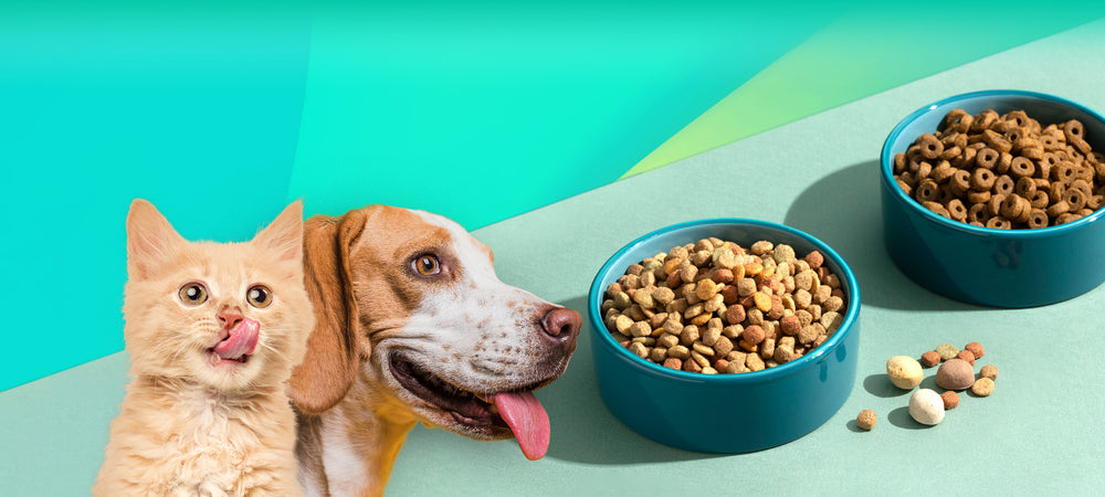 VetSPLY partners with veterinary practices & hospitals in Hong Kong to ensure your pets are supplied with right type of food (including prescription items)on the regular