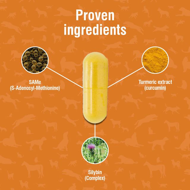 Nutravet - Nutramarin+ (SAMe 100mg Liver Supplement for Dogs & Cats)