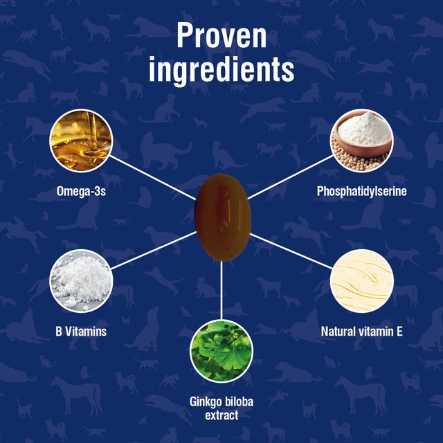 Nutravet - Nutramind (Brain Health Supplement for Dogs & Cats)
