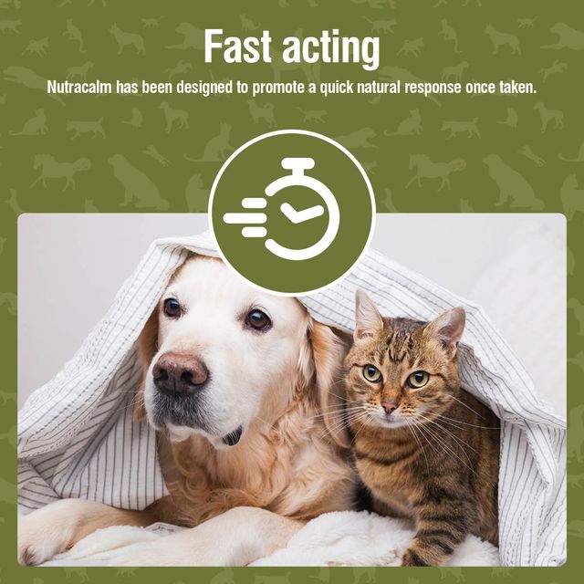 Nutravet | Nutracalm Stress & Anxiety Care For Pets