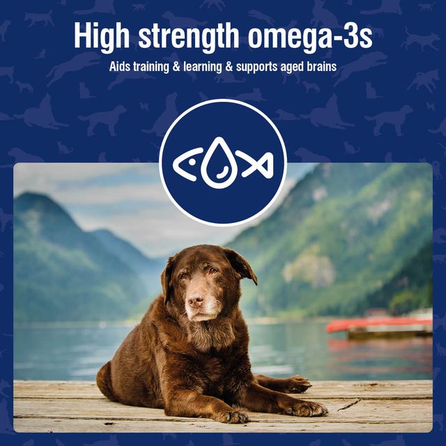 Nutravet - Nutramind (Brain Health Supplement for Dogs & Cats)