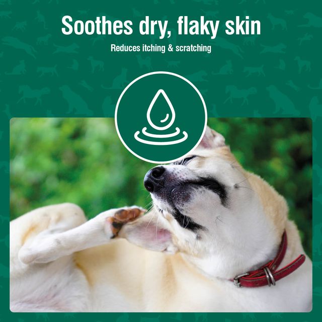 Nutravet | Nutracoat For Healthy Skin & Coat | Vetopia