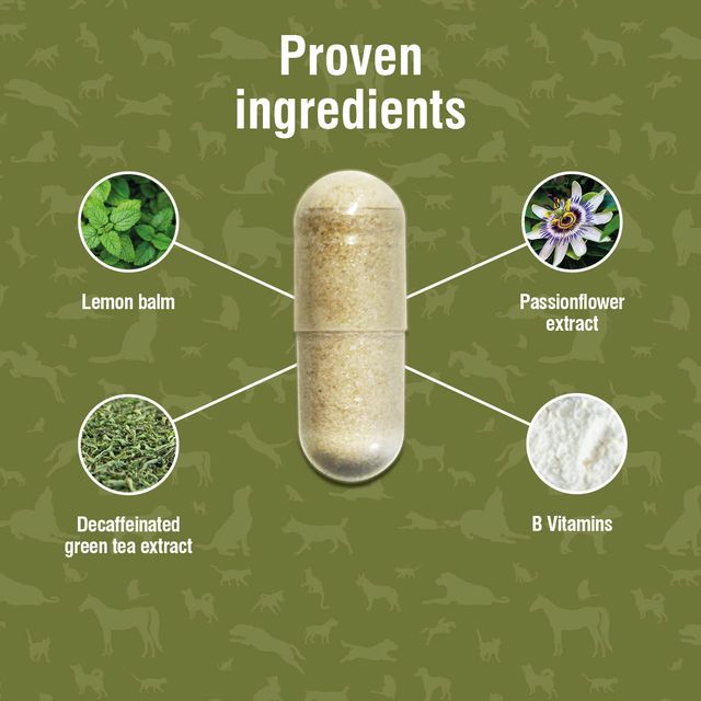 Nutravet | Nutracalm Stress & Anxiety Care For Pets