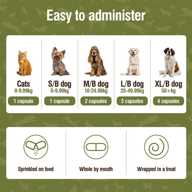 Nutravet | Nutracalm Stress & Anxiety Care For Pets