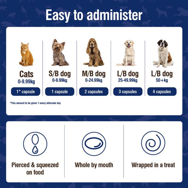 Nutravet - Nutramind (Brain Health Supplement for Dogs & Cats)