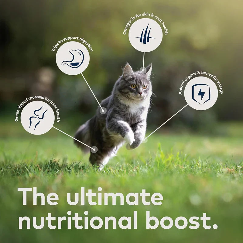 ZIWI Peak | Moist Cat Food - Lamb Recipe