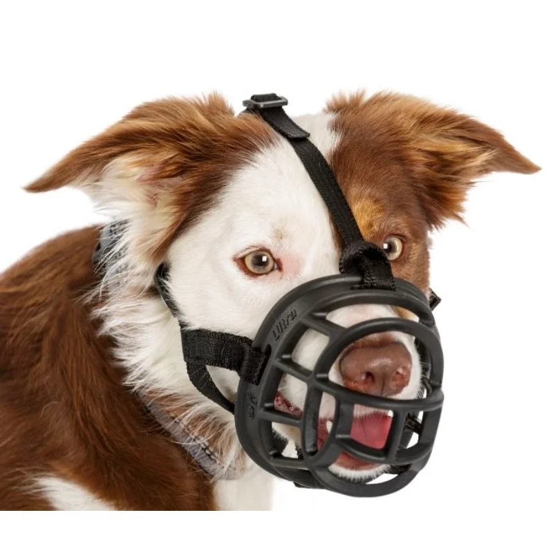 Company Of Animals | Baskerville Ultra Dog Muzzles | Vetopia 