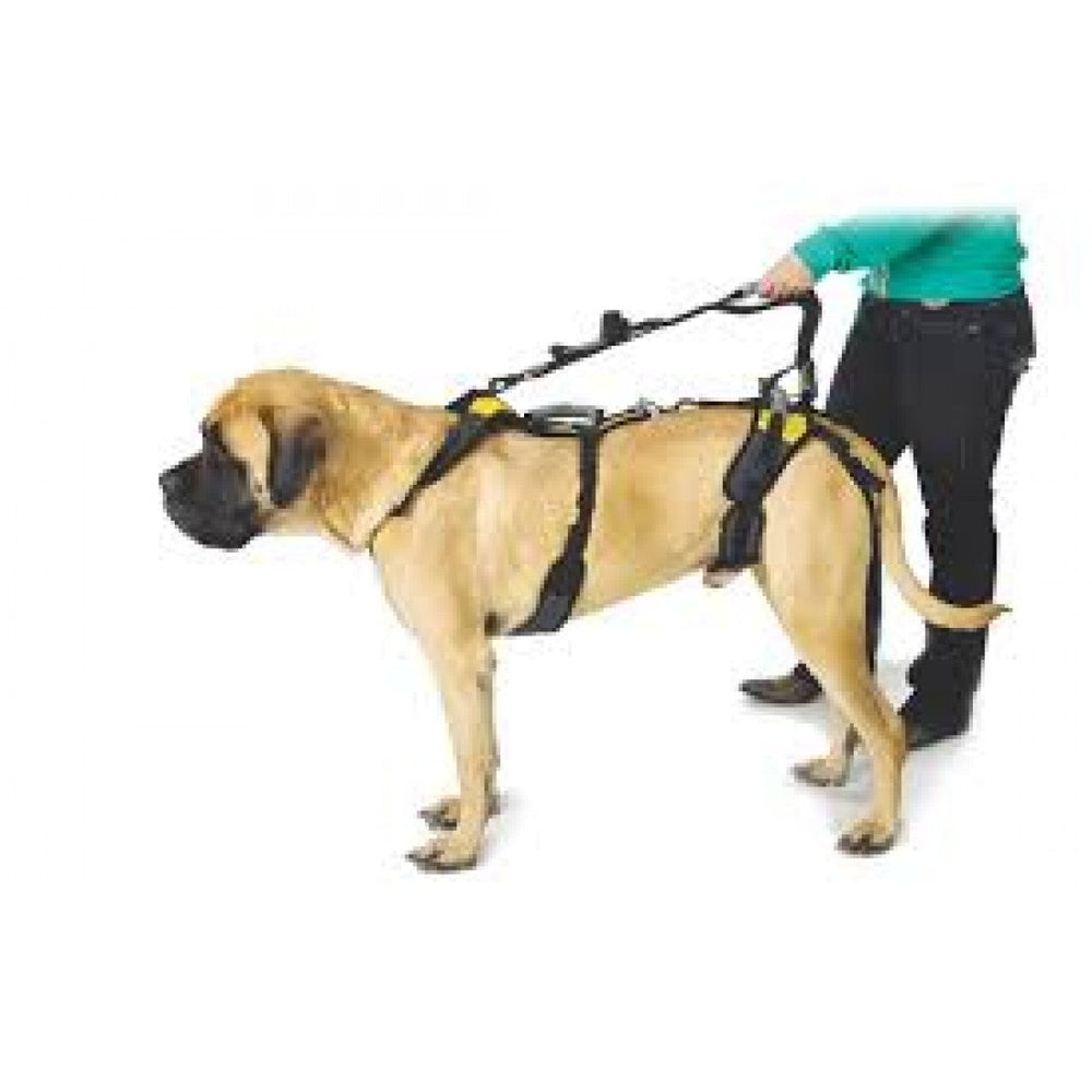 Dog Support Walking Accessories